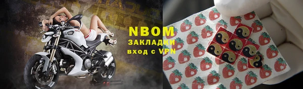 индика Медногорск