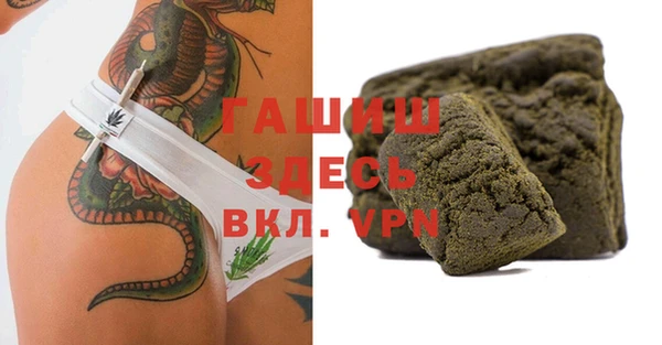индика Медногорск