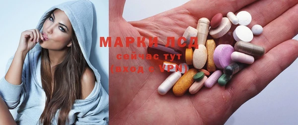 индика Медногорск