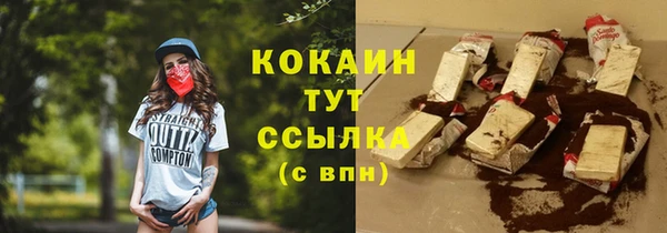 индика Медногорск