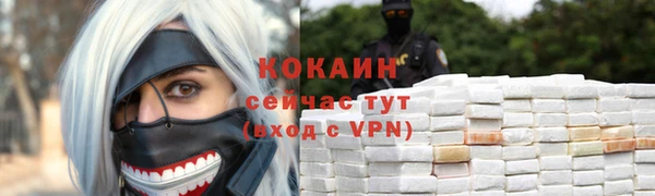 индика Медногорск