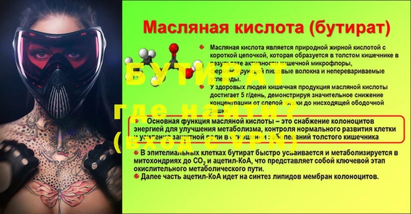 индика Медногорск