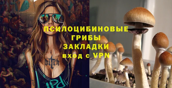 тгк Мегион