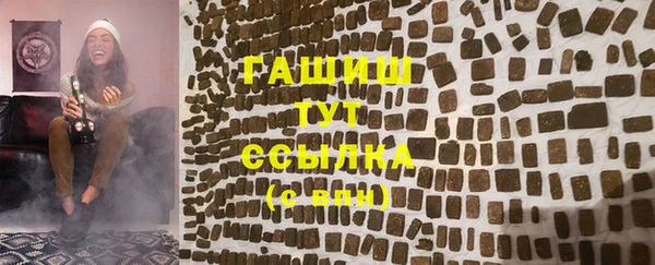 индика Медногорск