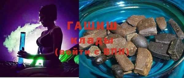 индика Медногорск
