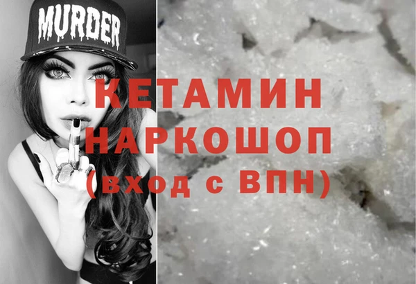 индика Медногорск