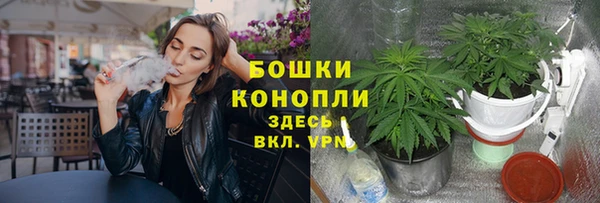 тгк Мегион