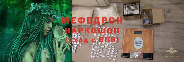 индика Медногорск