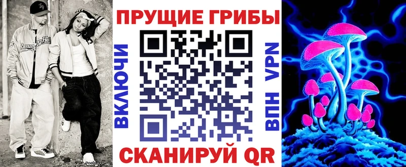 Купить закладки  Рязань  Псилоцибиновые грибы MAGIC MUSHROOMS 